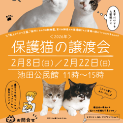 NECOAS 保護猫譲渡会 静岡市駿河区