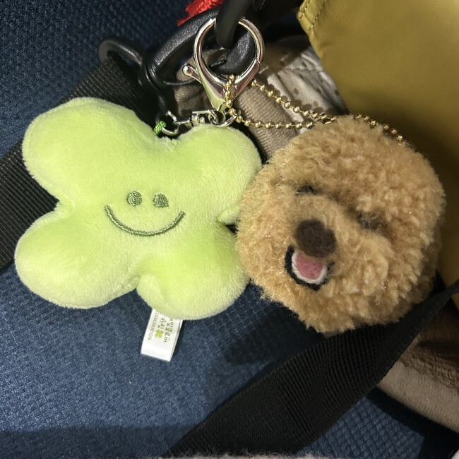 ぴよごんのカバー写真