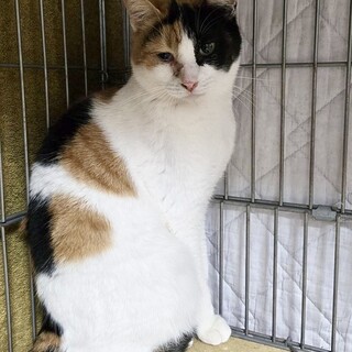 甘えん坊さん　ふふちゃん