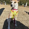 家族のまんなかに、はなまるスマイルを