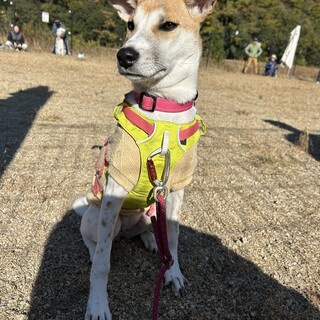 家族のまんなかに、はなまるスマイルを