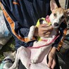 家族のまんなかに、はなまるスマイルを サムネイル3
