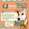 家族のまんなかに、はなまるスマイルを サムネイル5