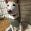 生きてるだけで毎日が大吉