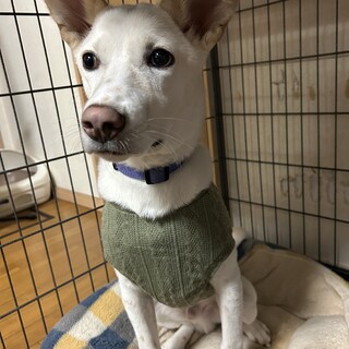 生きてるだけで毎日が大吉