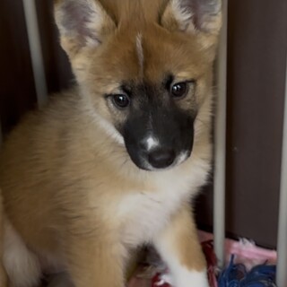 リコちゃん♡２ヶ月半