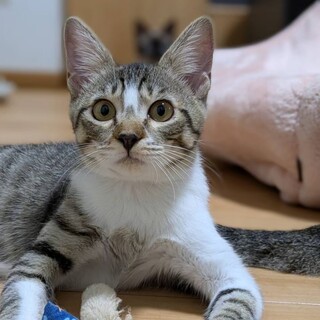 コミュ力抜群の甘えん坊♡まーや