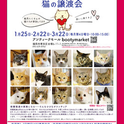 Bootymarket × [sakuraneko] 猫の譲渡会