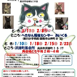 保護猫譲渡会@高浜市 サムネイル3