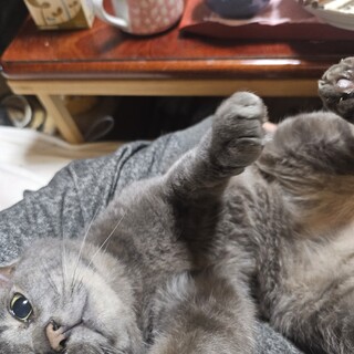 甘えん坊、元気ソラちゃん