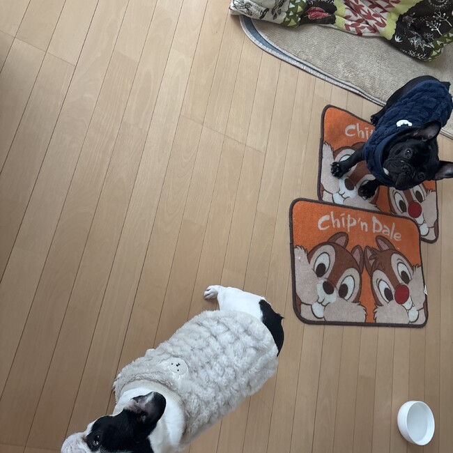 わーぼーのカバー写真