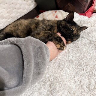 甘えん坊で大人しいすずちゃん