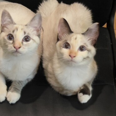 癒し❤️