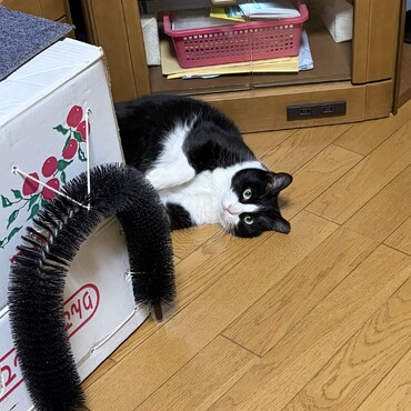 寒いけど大丈夫( ^ω^ )