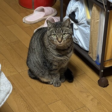 みんな太り気味(・・;)