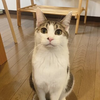 おっとり甘えん坊の男の子⭐︎山くん