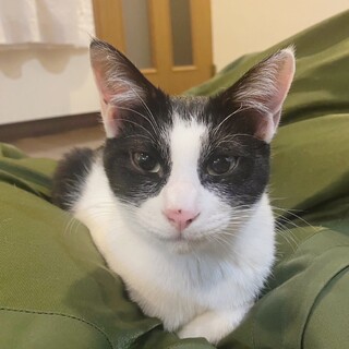 好奇心旺盛で人懐こい女の子⭐︎海ちゃん