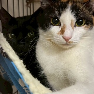 仲良し兄妹♡月&花