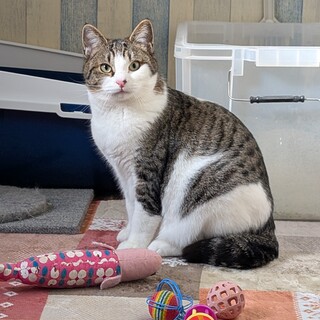 ★家族決定★【ほろ】