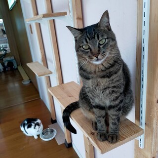 『わむ』風格がある美男子君