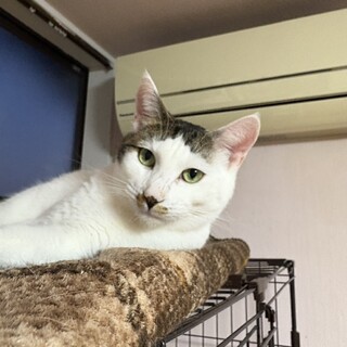 『クヌ』甘え方のアピールがちょっと下手