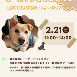 ピースワンコ生駒ミニ譲渡会 in大阪鶴見緑地パートナードッグタウン