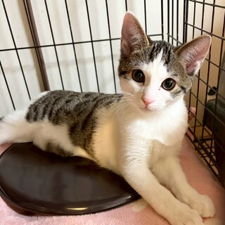 1/25西千葉ෆ⃛甘えん坊すぎෆ⃛コボくん