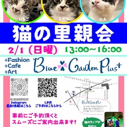猫の里親会イン世田谷区 下高井戸駅