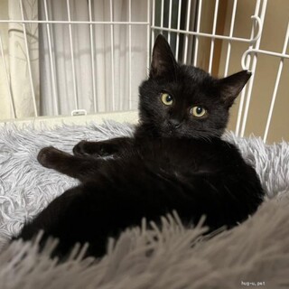 ぴのとペアで　なのちゃん