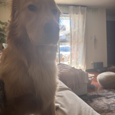 の写真
