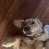 の写真