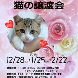 オープンシエルター譲渡会 サムネイル1