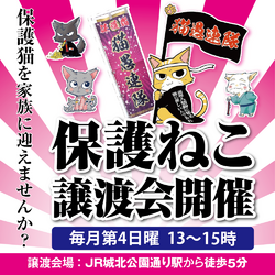 猫愚連隊譲渡会