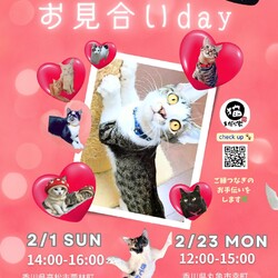 まだら家 サムネイル1