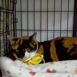 ‼️中止‼️　まだら家 サムネイル2