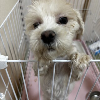 人が大好き！1歳半の女の子♬