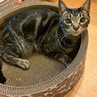 ෆ⃛人懐こくて明るいෆ⃛いぶき君