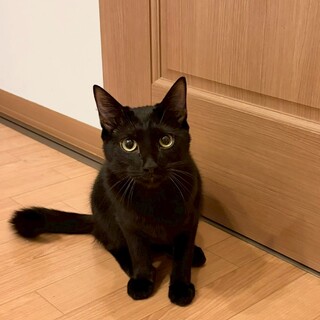 ෆ⃛遊ぶの大好きෆ⃛こんぶくん