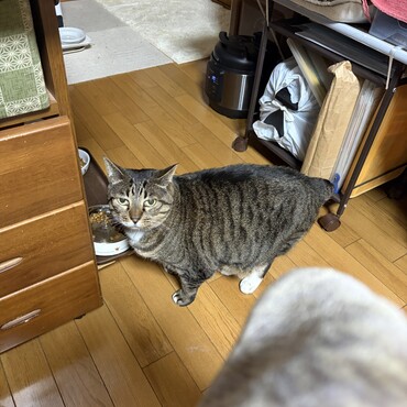 倖ちゃんちより寒い(・・?)明日と明後日はマイナス6度∑(ﾟДﾟ)