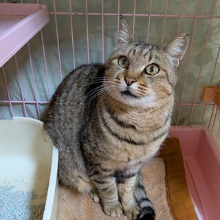 急募！週末極寒の外へリリースになります