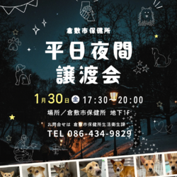 倉敷市保健所夜間譲渡会 サムネイル1