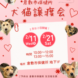 倉敷市保健所　収容犬猫譲渡会