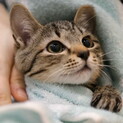 星月夜♡家族ができました