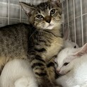 少しビビりなところもかわいいできすぎ丸！