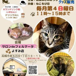 保護猫譲渡会＆チャリティーグッズ販売 サムネイル1