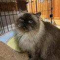一旦閉めます