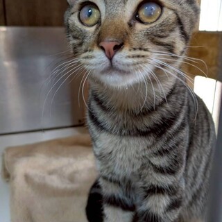 遊ぶの大好き！元気でかっぱつな男の子♡ワカメ