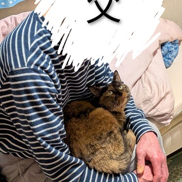 いちばん慣れていなかった父の膝にとうとう乗ったメル