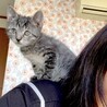 甘えたですぐお膝や肩に乗る可愛い男の子 サムネイル7