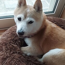 あれ？倖ちゃん✨✨( ´ー')